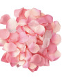 DIABLO PICANTE 100 PETALOS ROSA