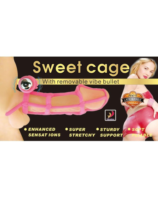 FUNDA Y ANILLO VIBRADOR 10 RITMOS PARA PENE ROSA DE LA MARCA BAILE FOR HIM