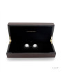 BOLAS CHINAS LUNA BEADS ACERO INOXIDABLE VIBRADORAS DE LA MARCA LELO