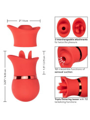 VIBRADOR SUCCIÓN Y LENGUA FRENCH KISS 12 MODOS DE LA MARCA CALEXOTICS