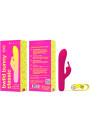 VIBRADOR RECARGABLE BUNNY INFINITE SILICONA ROSA 8 MODOS DE LA MARCA B SWISH