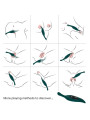 VIBRADOR HOJA VERDE ARMONY 9 MODOS SILICONA MÉDICA DE LA MARCA ARMONY STIMULATORS
