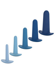 KIT ENTRENAMIENTO ANAL SILICONA 5 PIEZAS THEY-OLOGY DE LA MARCA CALEXOTICS