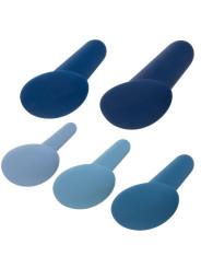 KIT ENTRENAMIENTO ANAL SILICONA 5 PIEZAS THEY-OLOGY DE LA MARCA CALEXOTICS