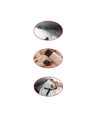 KIT ATADURAS BONDAGE PARA CAMA 2 CORREAS DE LA MARCA FETISH FANTASY SERIES