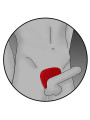 ANILLO ESTIMULACIÓN ELÉCTRICA VIPER COCK RING DE LA MARCA ELECTRASTIM
