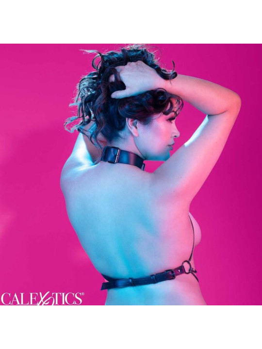 ARNÉS DE CUELLO MULTICADENA TALLA GRANDE EUPHORIA DE LA MARCA CALEXOTICS