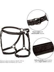 ARNÉS DE MUSLO EQUITACIÓN EUPHORIA CUERO VEGANO DE LA MARCA CALEXOTICS