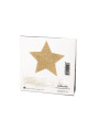 PEZONERAS BRILLANTES FLASH ESTRELLA DORADA INDISCRETS DE LA MARCA BIJOUX FLASH COLLECTION