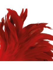 PLUMA ESTIMULADORA ERÓTICA ROJO 24CM DARKNESS DE LA MARCA DARKNESS SENSATIONS