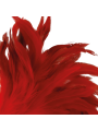 PLUMA ESTIMULADORA ERÓTICA ROJO 24CM DARKNESS DE LA MARCA DARKNESS SENSATIONS
