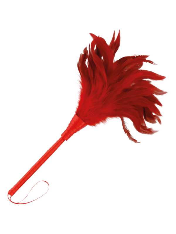 PLUMA ESTIMULADORA ERÓTICA ROJO 24CM DARKNESS DE LA MARCA DARKNESS SENSATIONS
