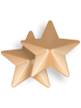PEZONERAS ESTRELLAS DORADAS COQUETTE CHIC DESIRE DE LA MARCA COQUETTE ACCESSORIES