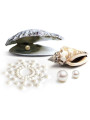 INDISCRETS MIMI PERLA DORADO - CUBRE PEZONES BRILLANTES LILA DE LA MARCA BIJOUX JEWELRY