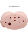 VAGINA Y ANO REALISTICOS CON VIBRADOR REGULABLE DE LA MARCA CRAZY BULL