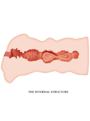 MASTURBADOR VAGINAL LEILA 13.5 CM - REALISTA Y PORTÁTIL DE LA MARCA CRAZY BULL