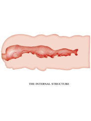 MASTURBADOR VAGINAL REALISTA ISABEL 13.5 CM DE LA MARCA CRAZY BULL