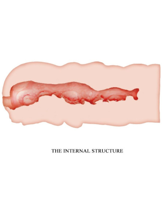 MASTURBADOR VAGINAL REALISTA ISABEL 13.5 CM DE LA MARCA CRAZY BULL