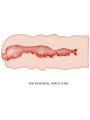 MASTURBADOR VAGINAL REALISTA ISABEL 13.5 CM DE LA MARCA CRAZY BULL