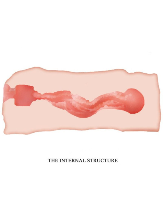 MASTURBADOR VAGINAL JANE 13.5 CM - REALISTA Y PORTÁTIL DE LA MARCA CRAZY BULL