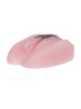 MASTURBADOR VIBRADOR ANTHEA MAGIC FLESH REALISTA DE LA MARCA BAILE FOR HIM
