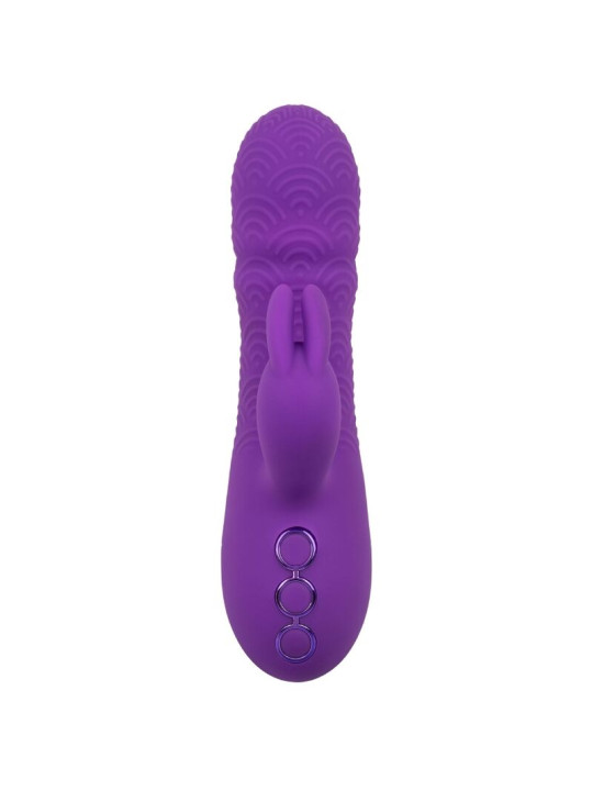 VIBRADOR RABBIT DUAL MANHATTAN BEACH MARVEL MORADO DE LA MARCA CALEXOTICS