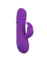 VIBRADOR RABBIT DUAL MANHATTAN BEACH MARVEL MORADO DE LA MARCA CALEXOTICS