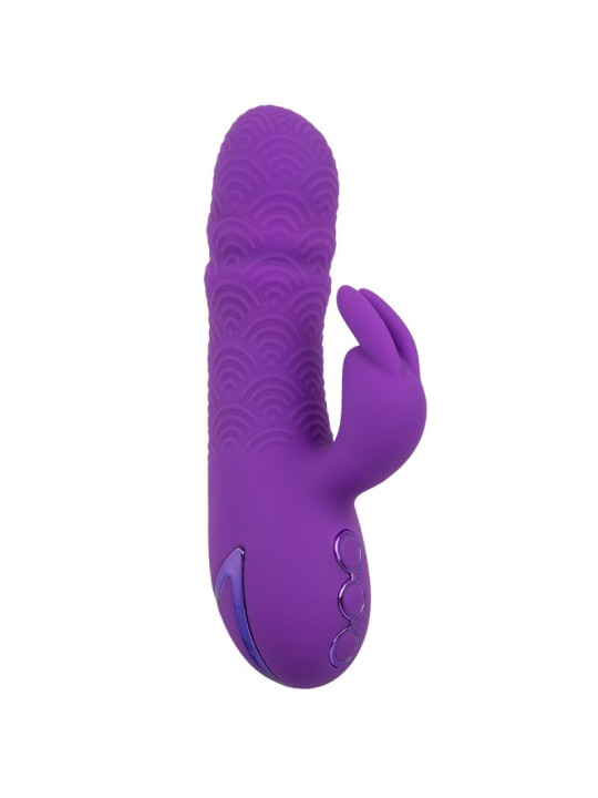 VIBRADOR RABBIT DUAL MANHATTAN BEACH MARVEL MORADO DE LA MARCA CALEXOTICS