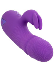 VIBRADOR RABBIT DUAL MANHATTAN BEACH MARVEL MORADO DE LA MARCA CALEXOTICS