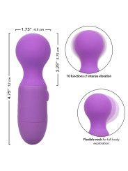 MASSEUR RECARGABLE 10 VIBRACIONES CALEXOTICS VIOLETA DE LA MARCA CALEXOTICS