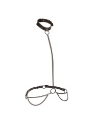 ARNÉS EUPHORIA PLUS SIZE CON CADENA Y CORREA AJUSTABLE DE LA MARCA CALEXOTICS
