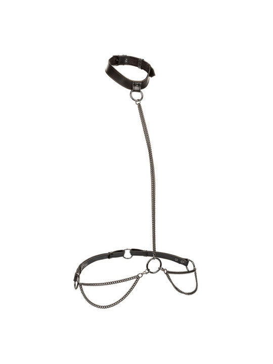 ARNÉS EUPHORIA PLUS SIZE CON CADENA Y CORREA AJUSTABLE DE LA MARCA CALEXOTICS