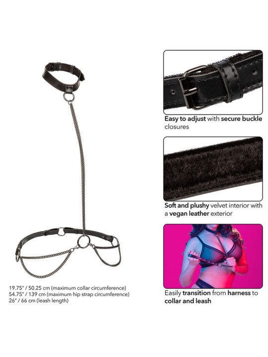 ARNÉS EUPHORIA PLUS SIZE CON CADENA Y CORREA AJUSTABLE DE LA MARCA CALEXOTICS