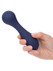 MASAGEADOR VIBRADOR 12 FUNCIONES CALEXOTICS CHARISMA TEMPTATION DE LA MARCA CALEXOTICS