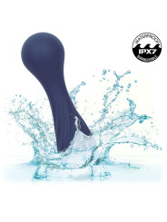 MASAGEADOR VIBRADOR 12 FUNCIONES CALEXOTICS CHARISMA TEMPTATION DE LA MARCA CALEXOTICS