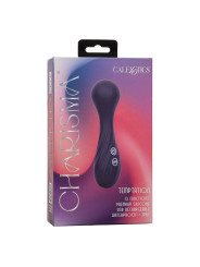 MASAGEADOR VIBRADOR 12 FUNCIONES CALEXOTICS CHARISMA TEMPTATION DE LA MARCA CALEXOTICS