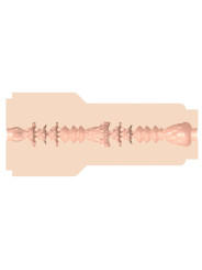 FLESHLIGHT VANNA BARDOT - ESTIMULADOR VAGINAL REALISTA DE LA MARCA FLESHLIGHT GIRLS