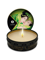 SHUNGA VELAS MASAJE AROMÁTICAS 24 UNIDADES EXPOSITOR DE LA MARCA SHUNGA CANDLES