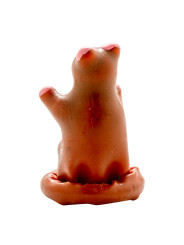 PRESERVATIVO DECORATIVO OSO PELUCHE PINTADO A MANO DE LA MARCA CONDOMERIE