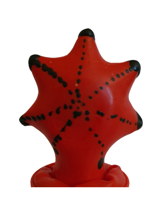PRESERVATIVO PINTADO A MANO ESTRELLA MAR DECORATIVO DE LA MARCA CONDOMERIE