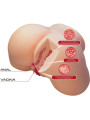 OLIVIA TRASERO FEMENINO REALISTA VAGINA ANAL 5.5KG DE LA MARCA CRAZY BULL