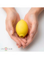 INTENSE MONI ESTIMULADOR SUCCIONADOR DE CLITORIS LIMON